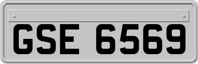 GSE6569