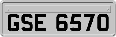 GSE6570