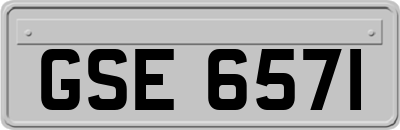 GSE6571