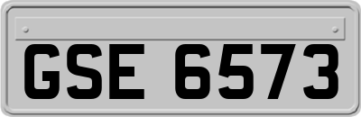 GSE6573