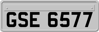 GSE6577