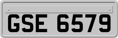 GSE6579