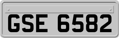 GSE6582