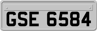 GSE6584