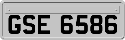 GSE6586
