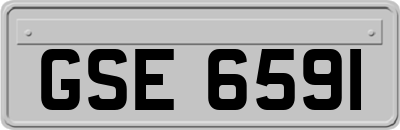 GSE6591