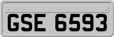 GSE6593