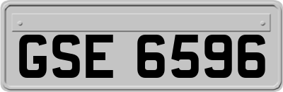 GSE6596