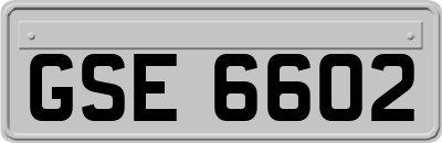 GSE6602
