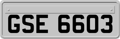 GSE6603