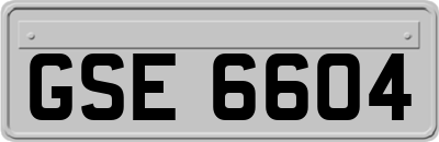 GSE6604