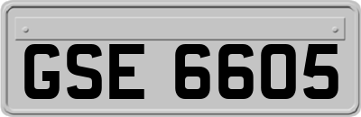 GSE6605