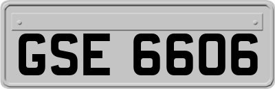 GSE6606