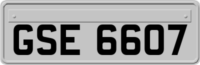 GSE6607