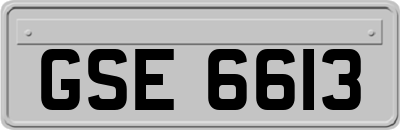 GSE6613