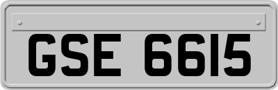 GSE6615