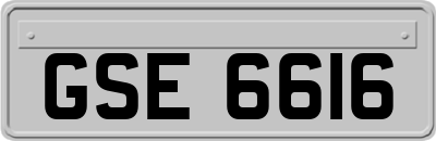 GSE6616
