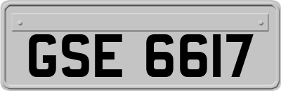 GSE6617