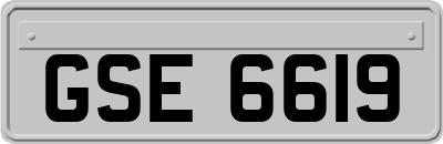 GSE6619