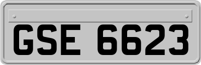 GSE6623