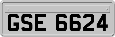 GSE6624