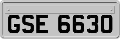 GSE6630