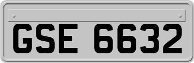 GSE6632
