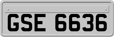GSE6636