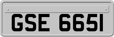 GSE6651