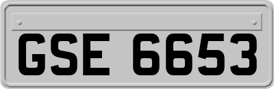 GSE6653