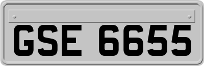 GSE6655
