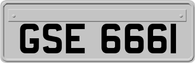 GSE6661