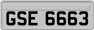 GSE6663