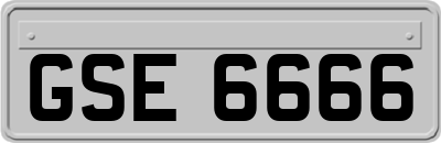GSE6666