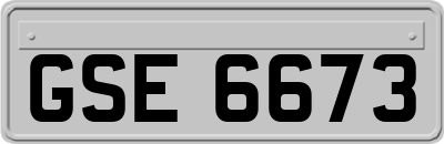 GSE6673
