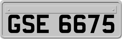 GSE6675
