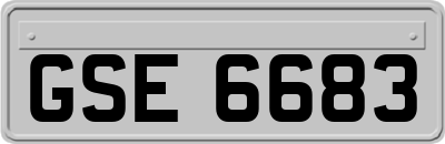 GSE6683