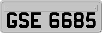 GSE6685