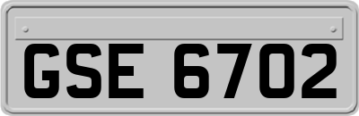 GSE6702