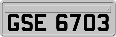 GSE6703
