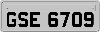 GSE6709