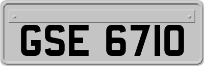 GSE6710