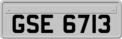 GSE6713