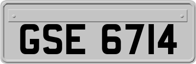 GSE6714