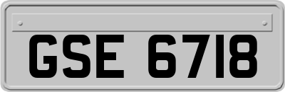 GSE6718