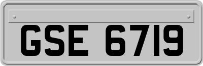 GSE6719