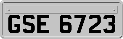 GSE6723