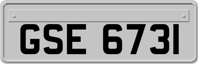 GSE6731