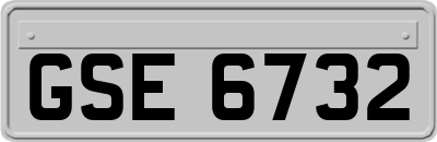 GSE6732