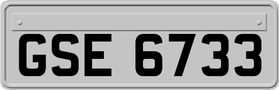 GSE6733